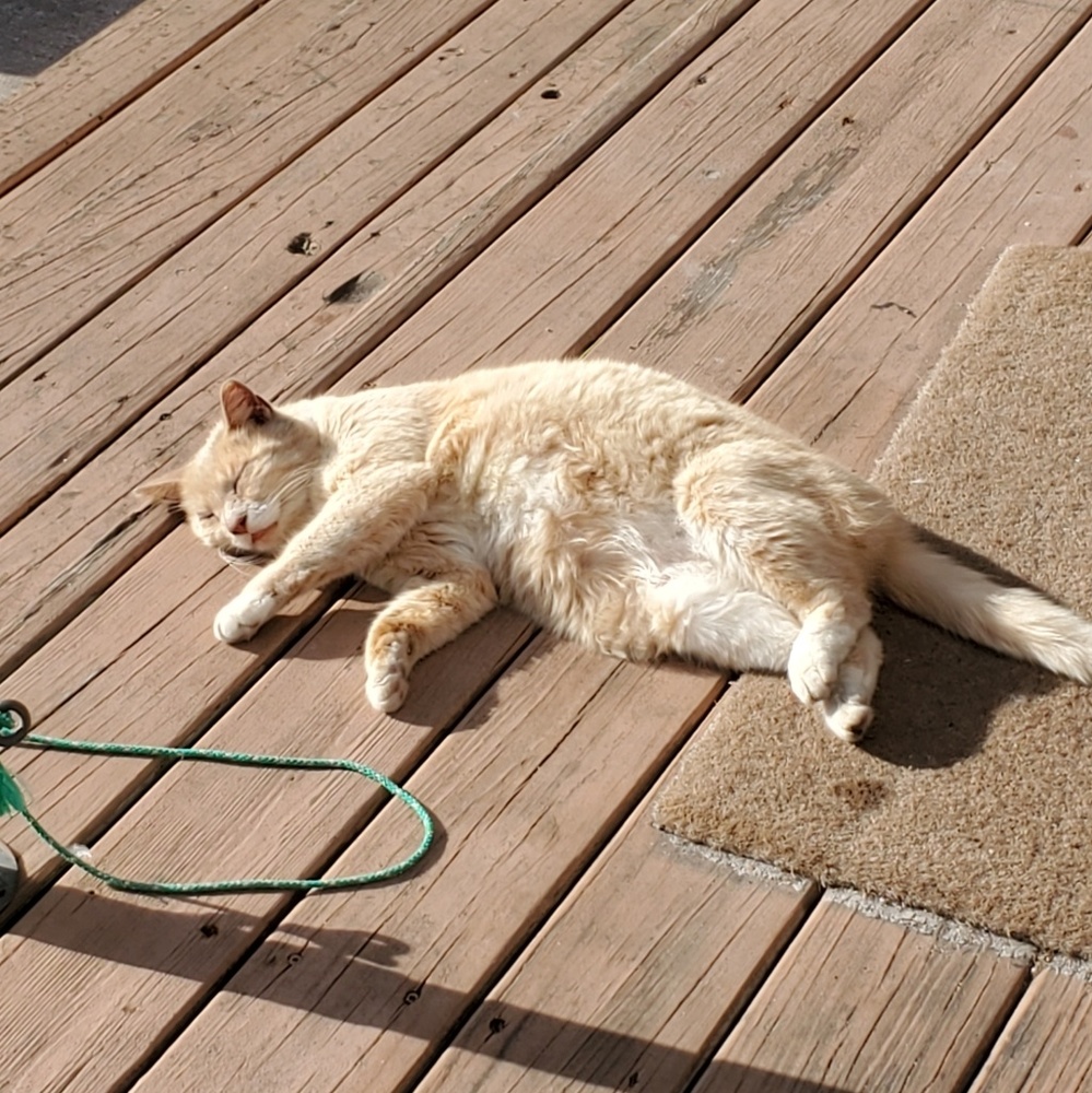 Meet your Posher, Matthew